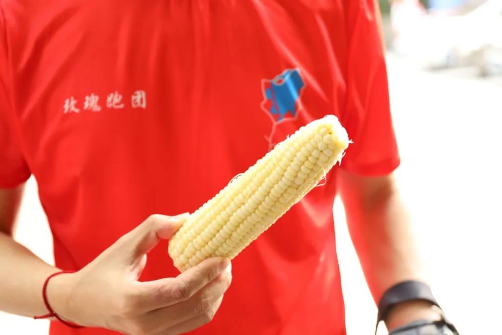 暖心！早上有跑友在西湖边摆摊“卖”鸡蛋饼，营养粥，还有玉米和西瓜