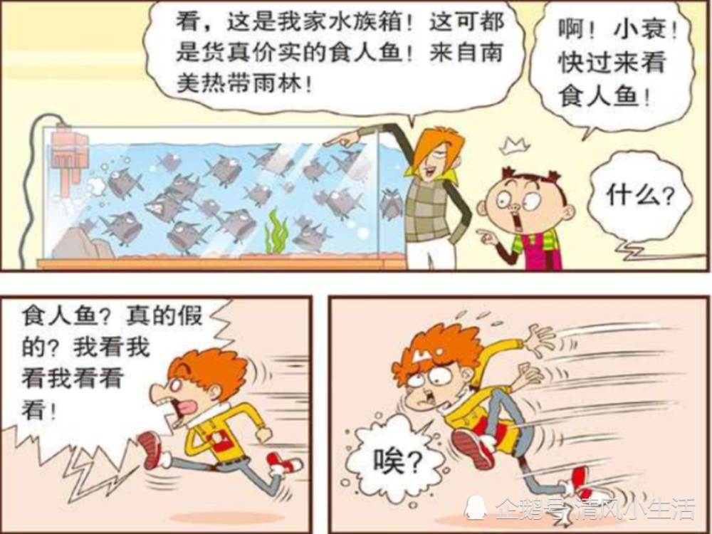班松家的保健室还是很传统的，吓得小衰衰和脸脸他们撒腿就跑