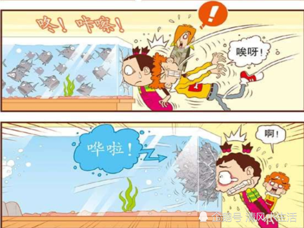 班松家的保健室还是很传统的，吓得小衰衰和脸脸他们撒腿就跑