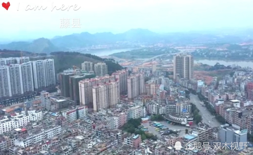 广西县域经济总量排名_广西经济排名图(3)