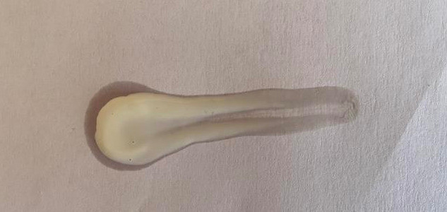 热门防晒霜合集，这4年来我用过的最好的5个防晒霜，夏季超爱用！