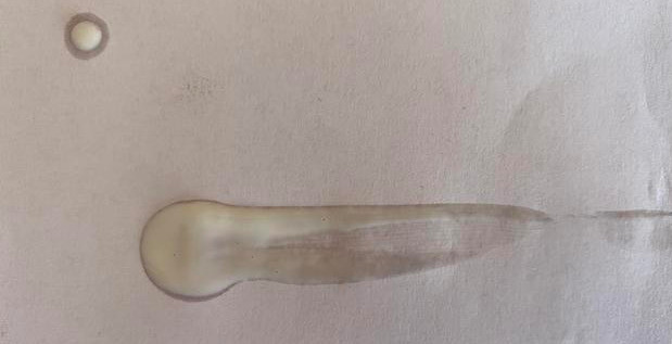 热门防晒霜合集，这4年来我用过的最好的5个防晒霜，夏季超爱用！