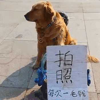 全员摆地摊!搞笑摆地摊表情包gif!搞笑摆地摊图片,摆地摊动态图