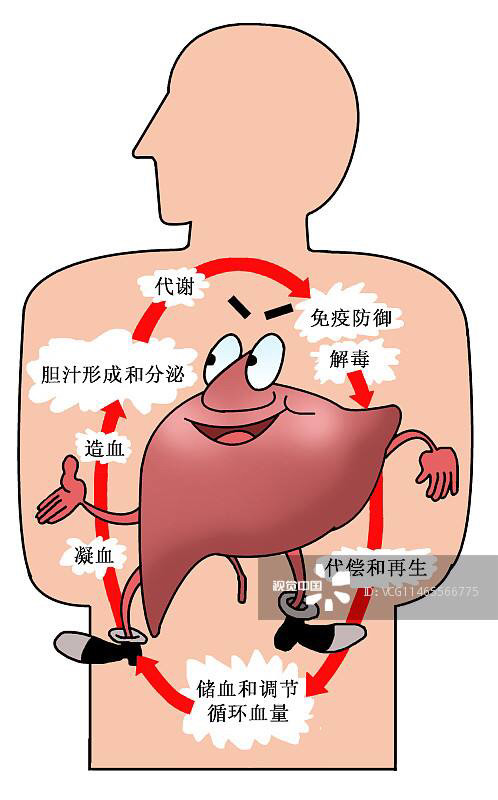 经常放屁,肚子胀气,这预示身体肝脏受伤!别大意,这不是小问题