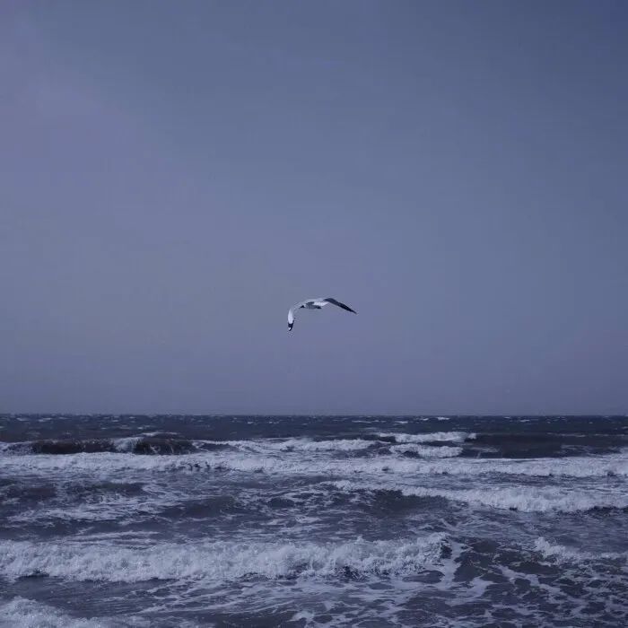 背景图 前路浩浩荡荡，万事尽可期待