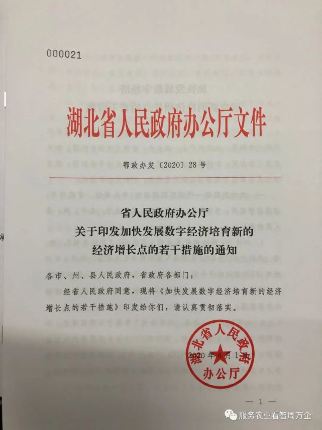 【背景】2020年6月1日,湖北省人民政府印发鄂政办发【2020】第28号