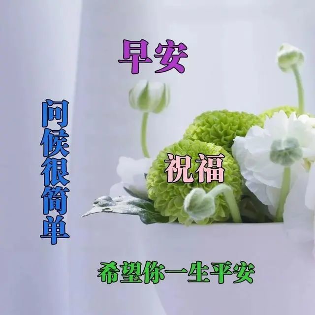 6月8日早晨好的问候语图片表情 发朋友圈好看的早晨图片