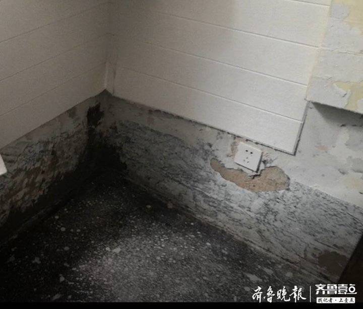 公共区漏水家中墙皮长蘑菇，申请两年无果遇维修难