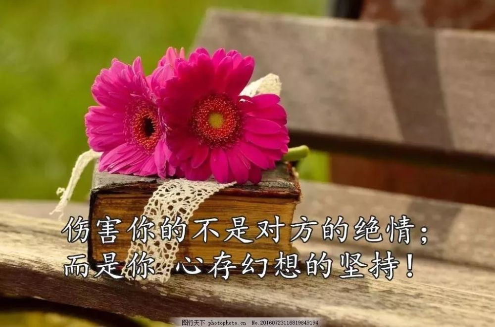 2021早安心语优美的语句,经典励志的朋友圈早安心语