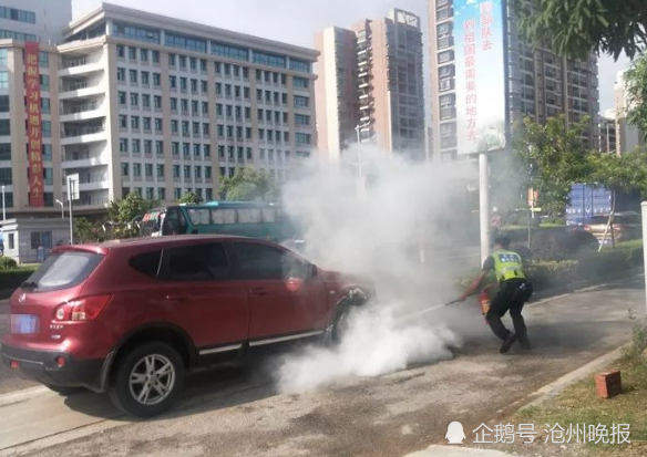 卧佛堂镇人口_重庆市潼南县卧佛镇