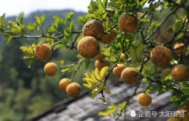 李东垣的名方，其基本原理来自于《伤寒杂病论》