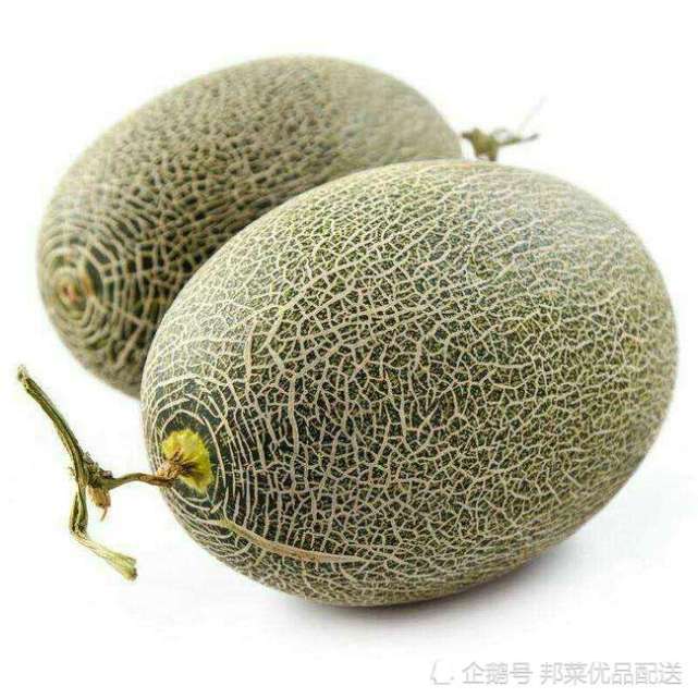 哈密瓜知识:为什么会有纹路?与香瓜有什么区别?如何