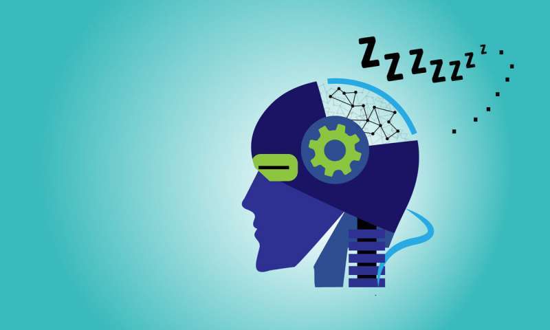 人工大脑可能也需要睡眠