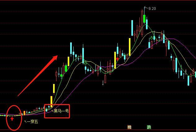 黑马起爆主副图:多头卖出信号,多头买进信号.