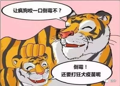 小老虎说:"爸爸,你敢和狮子拼斗,与猎豹争雄,却躲避一条疯狗,多丢人啊