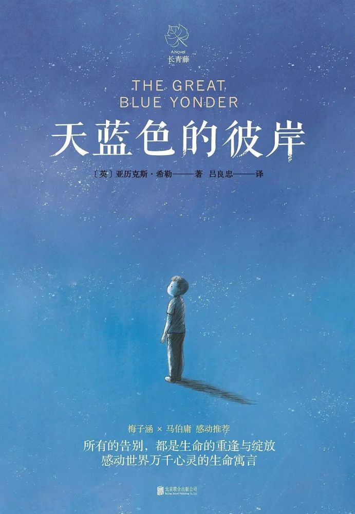 梦回彼岸，与逝去姐姐的未竟之约——解读梦中请求与拒绝的深层含义