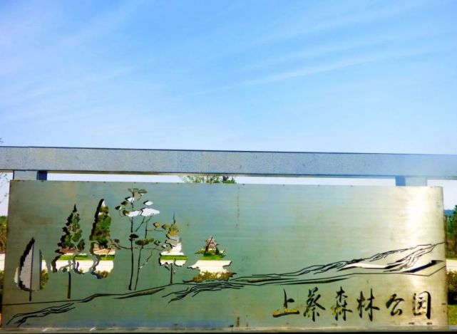 伴随上蔡森林公园的逐步开园,不少蔡友纷纷被它的美景所折服.
