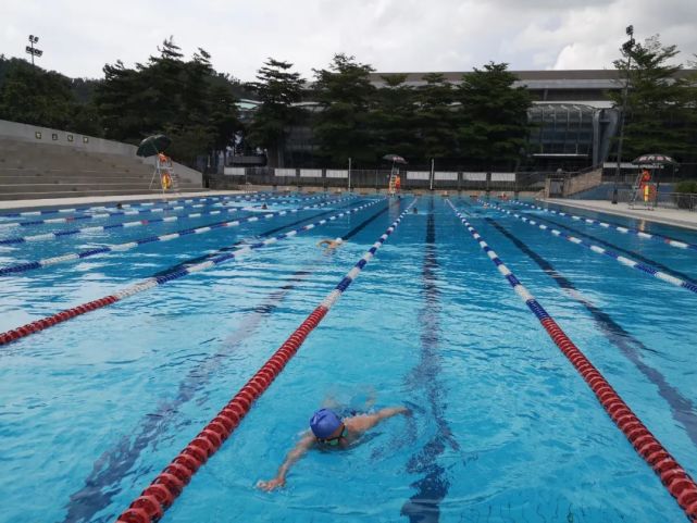 6月5日,千呼万唤下 位于深圳市体育中心的 深圳游泳跳水馆终于对外