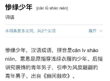 成语搜奇什么_成语故事图片