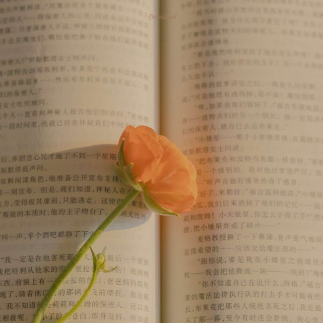 一切归零,愿前程似锦