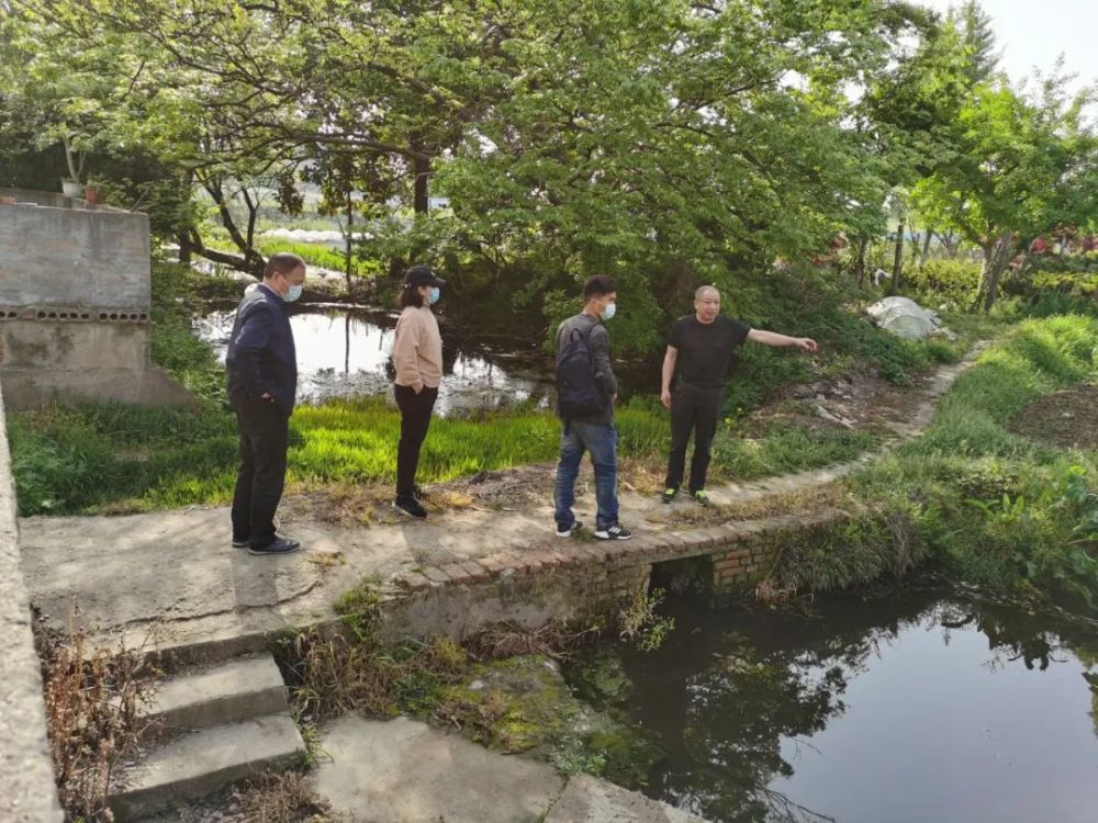 开启"美颜模式",江阴小湖村扮靓乡村人居环境