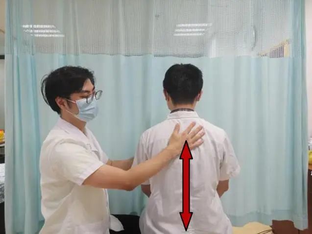 【助力学子】自我按摩，缓解焦虑，轻松赴考！