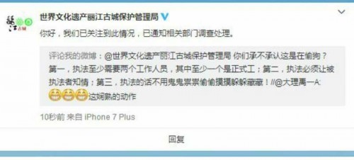 麗江一網友因狗被偷交罰款？