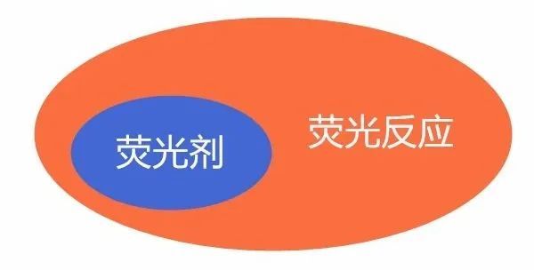 18岁出道即巅峰，惨遭无限期雪藏，37岁又凭借绝美素颜杀回来了！