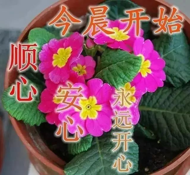 中老年表情包,感恩相遇,珍惜友情!
