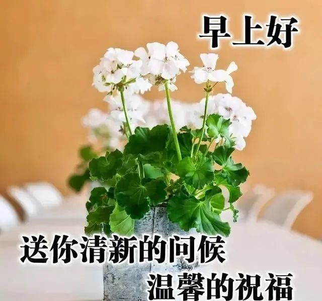 6月10日最漂亮的早上好祝福语图片温馨 清晨群发短语暧心问候动图