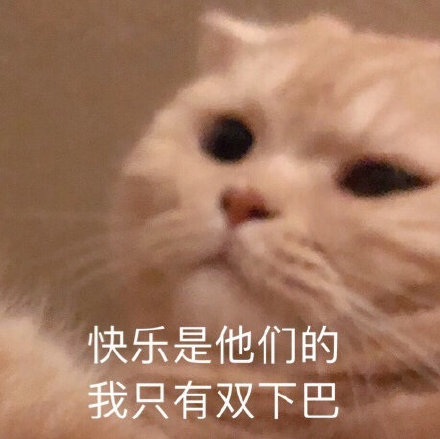 猫咪表情包,可爱又沙雕,长胖了怎么办