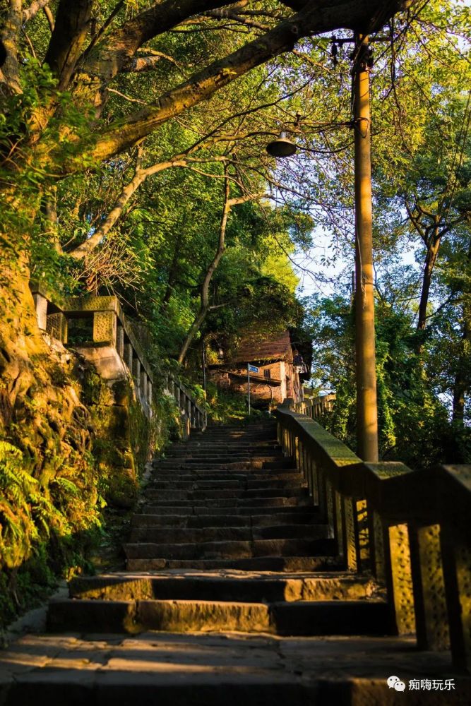 重走800年黄葛古道,看重庆丝绸之路前世今生