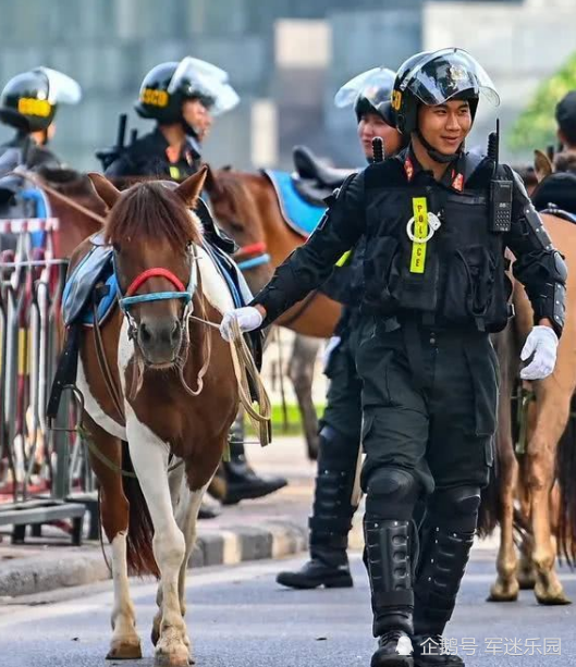 越南机动警察骑兵部队正式亮相,配世界名枪霸气十足,但人却比马还大太