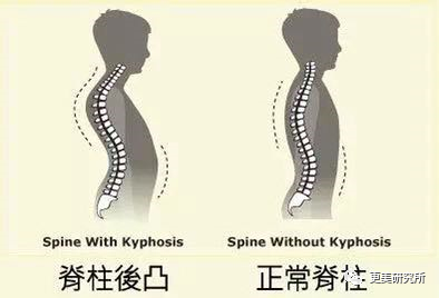 杨紫腰上的肉溢出屏幕，而赵丽颖刚生完娃还能瘦成腰精？