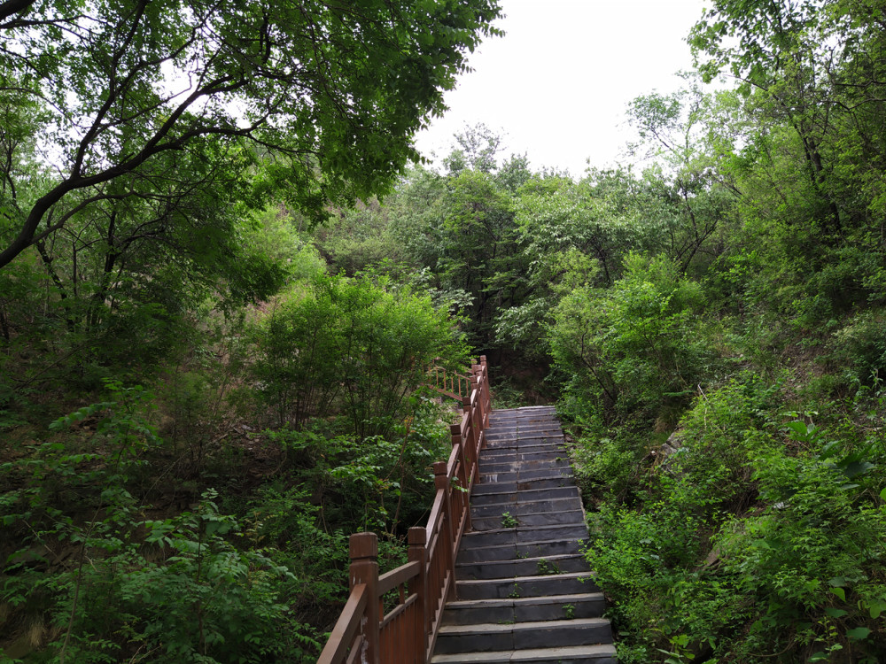 戒台寺郊野公园