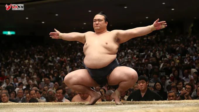 日本史上最重相扑，一年内狂减200斤以后，竟然感觉有点萌？
