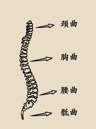 曲度 腾讯网