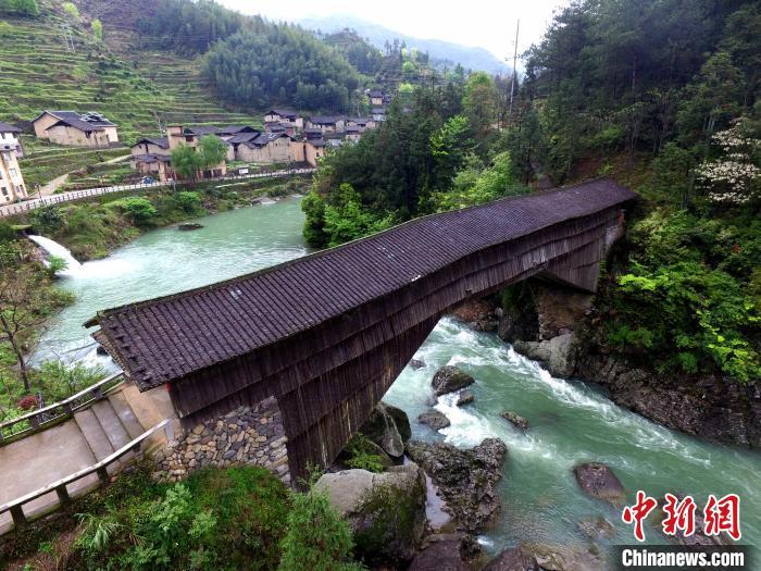 (叶秋云)青山环抱,碧水奔流,廊桥飞跨,盛夏时节的福建省宁德市寿宁县