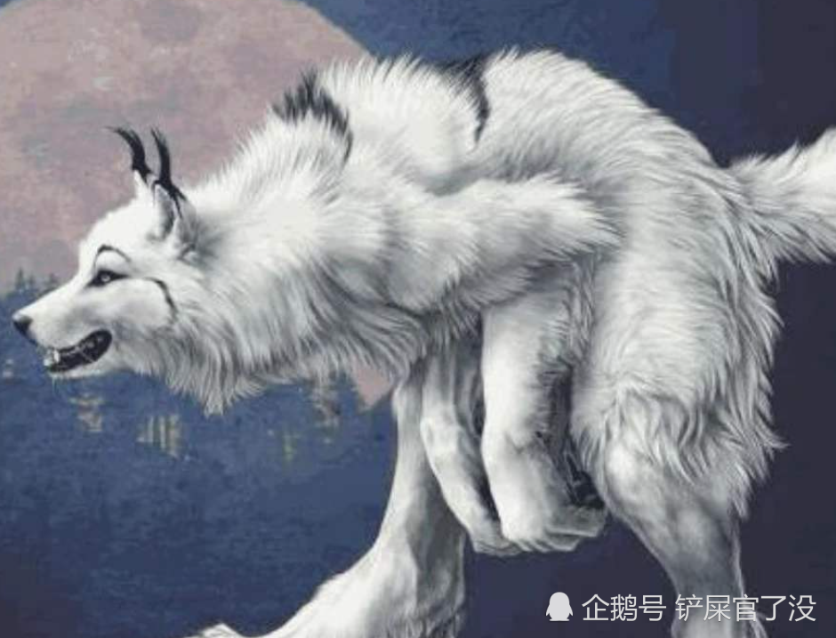 人们常说狼狈为奸,狼大家都知道,那狈到底是一种什么动物呢?