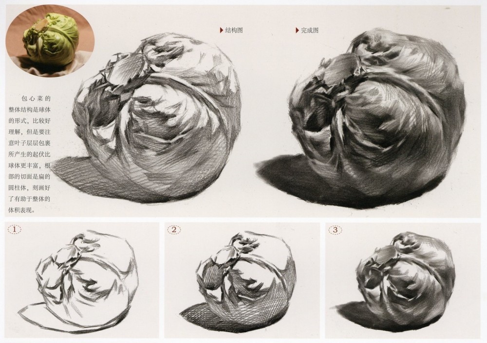 都说画素描的时候白菜太难没人画,其实它的简单你不懂