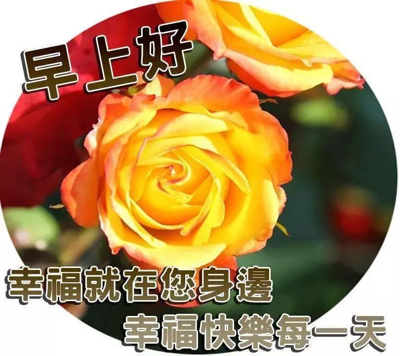 6月清早问候大家早上好的早安祝福语图片,最新周一好