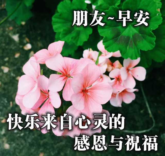 6月21父亲节最新早上好问候动态表情图片 早安图片表情祝福语录