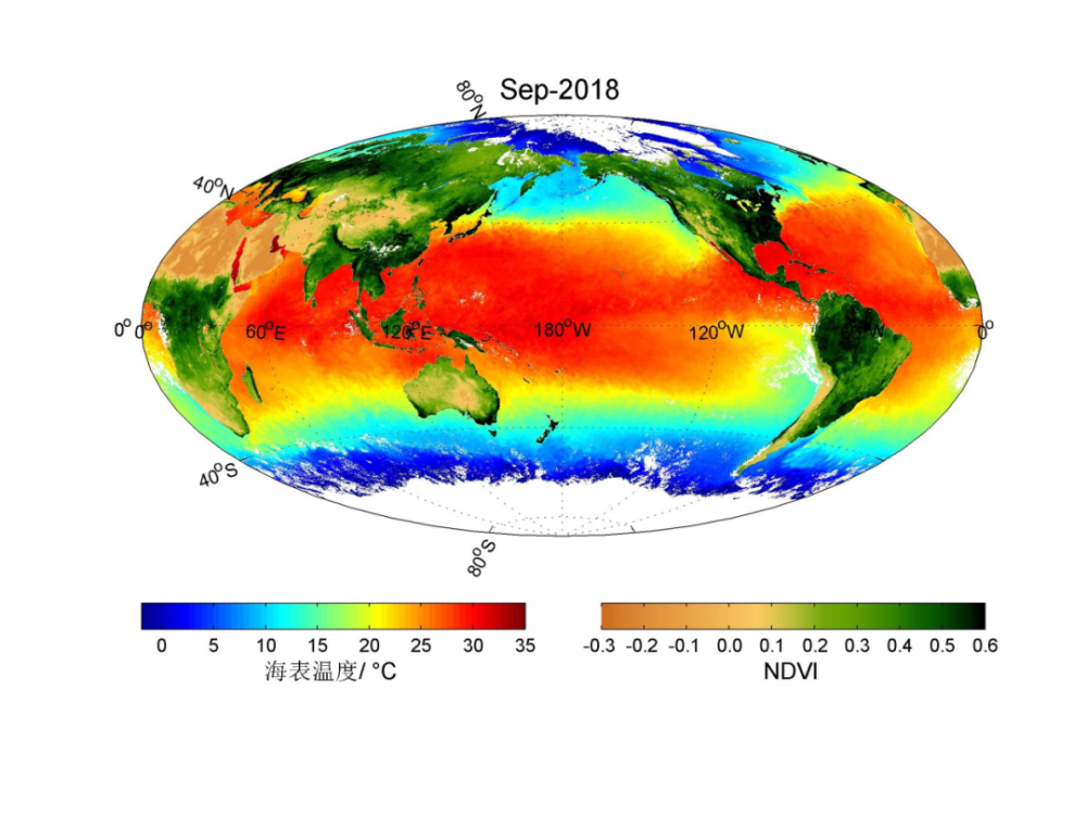 海洋一号c卫星生成的全球海洋叶绿素浓度与植被指数分布图