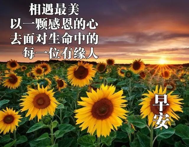 最新早晨温馨的祝福语短信,早上好很美的问候动态表情
