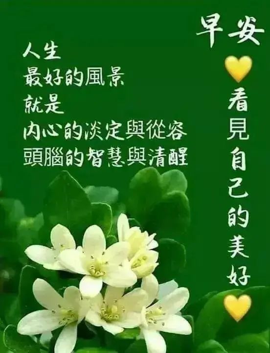 6月11日清晨早安问候祝福唯美图片,早晨好幸福暖心的