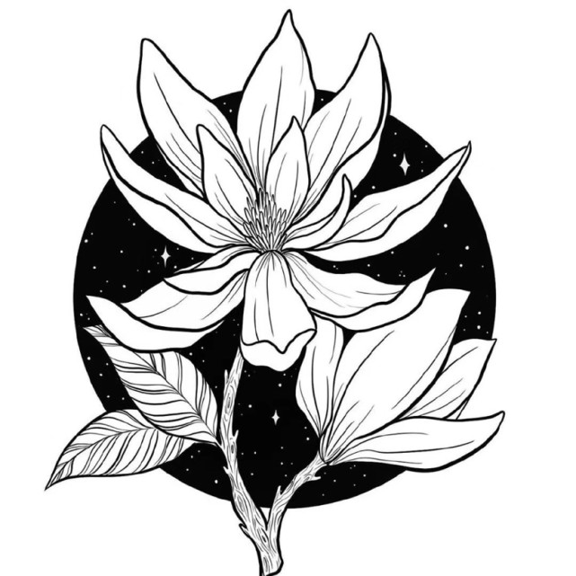 一组花卉,黑白装饰画
