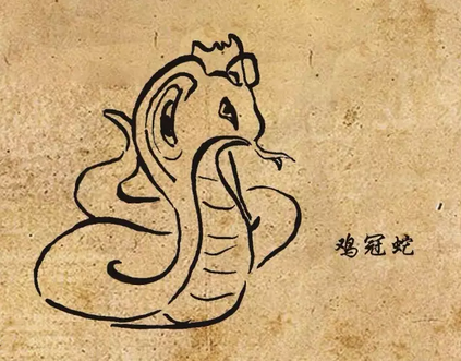民间传说拾遗——危险的鸡冠蛇是什么动物?