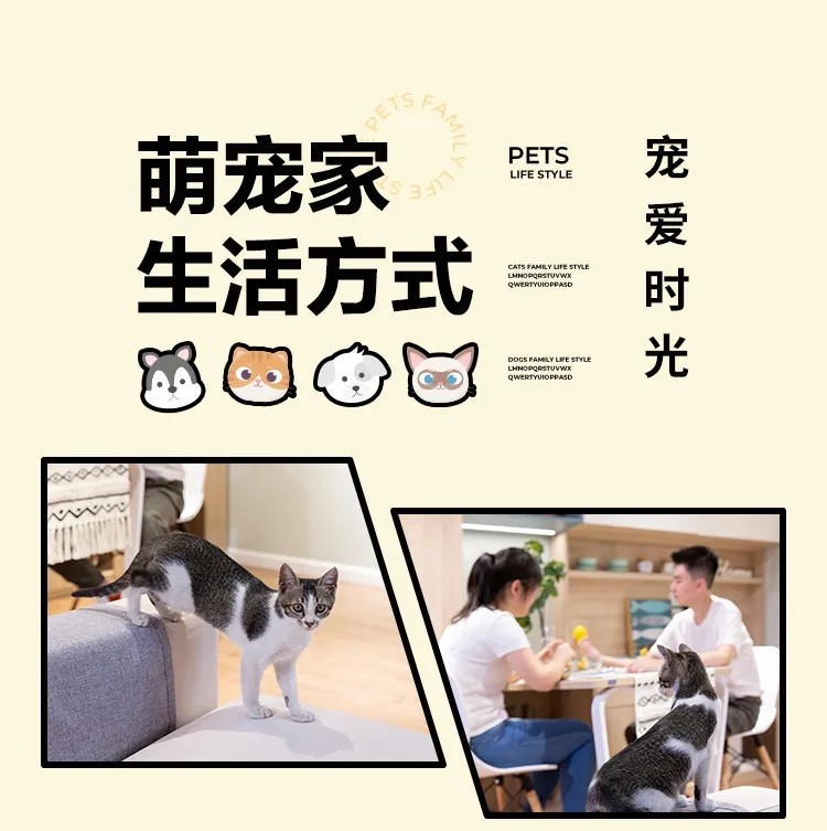 维意定制“宠爱时光”：自从看了为猫设计的家，瞬间流泪了