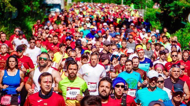 新研究：马拉松完赛成绩与饮食中脂肪、镁、钾营养元素密切相关