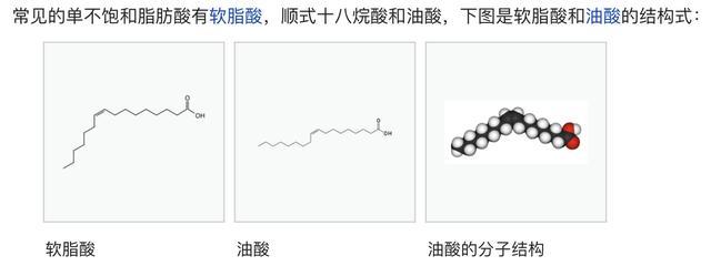 新研究：马拉松完赛成绩与饮食中脂肪、镁、钾营养元素密切相关